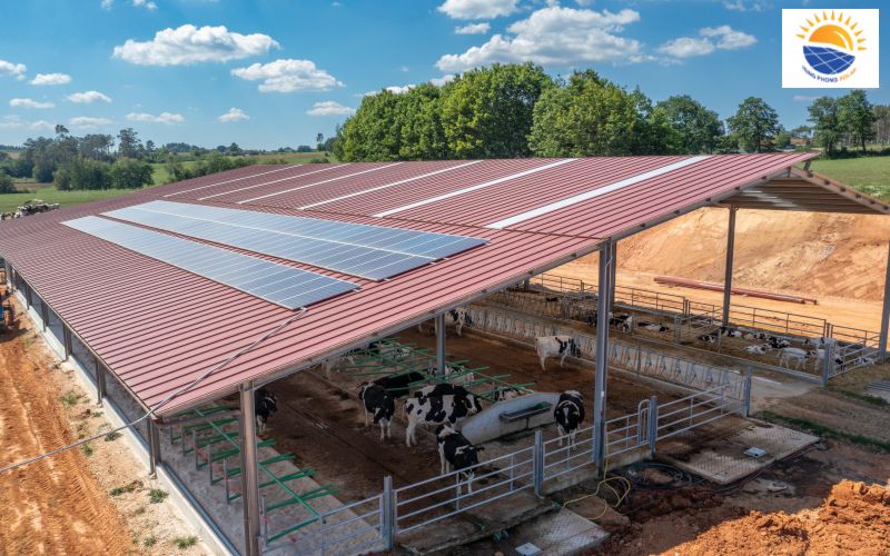 Điện mặt trời dành cho nông nghiệp tại Hà Nội