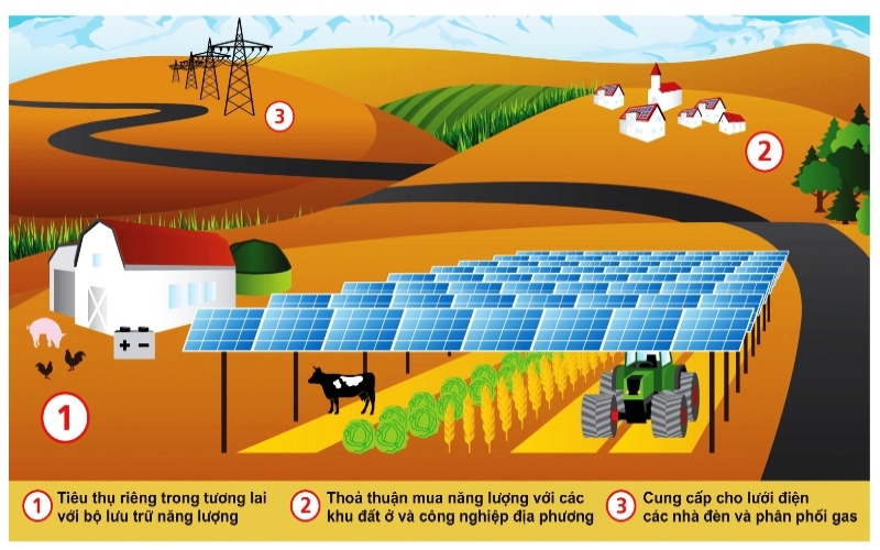 Ứng dụng điện năng lượng mặt trời trong nông nghiệp